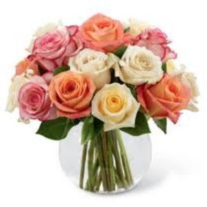 Meet your Posher, Amelia